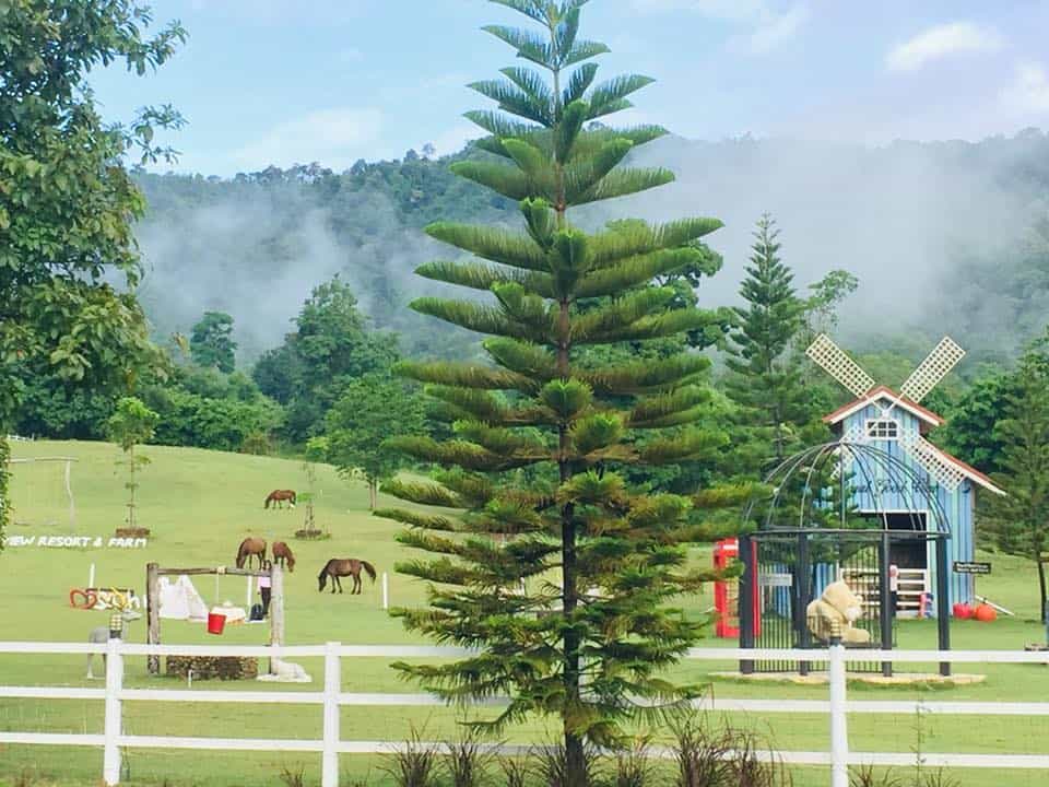 Royal Good View Resort & Farm 5