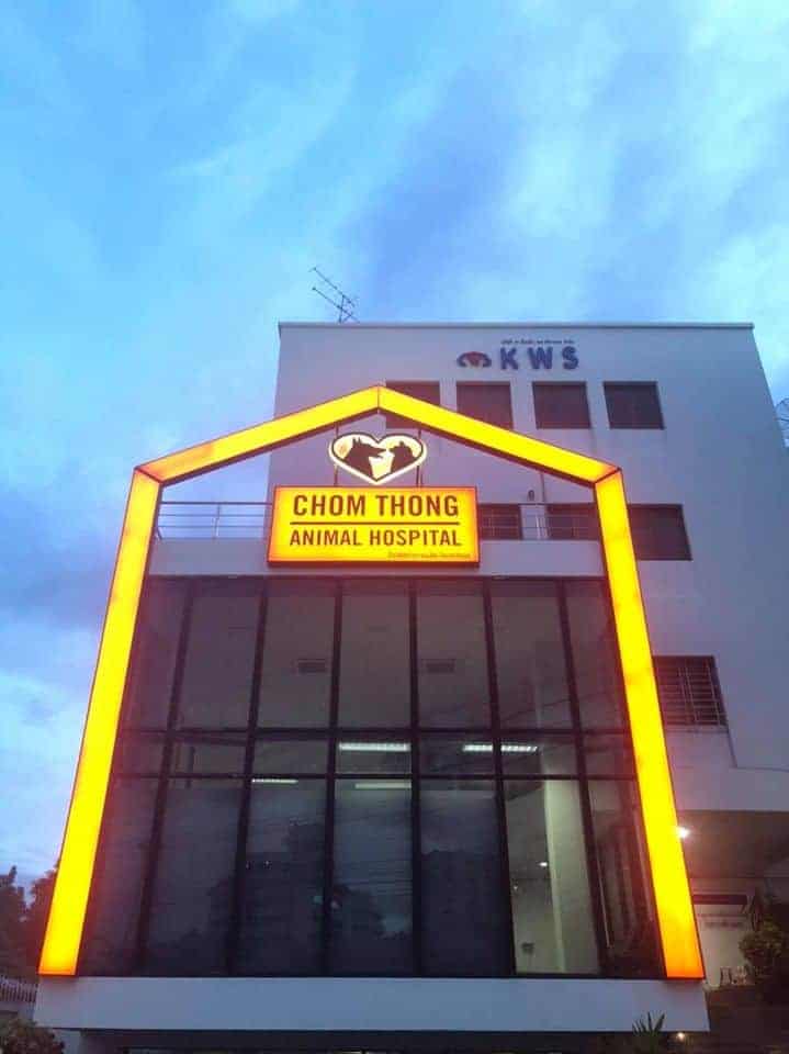 Chom Thong Animal Hospital (โรงพยาบาลสัตว์จอมทอง) 1