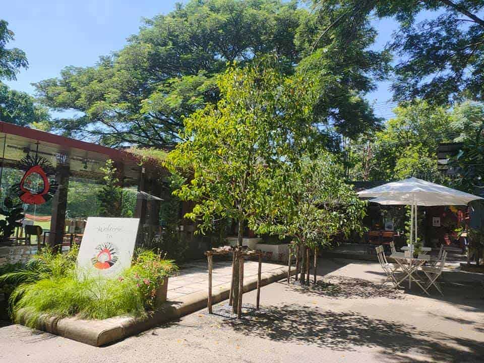 Little red riding hood eatery and garden (กรุงเทพฯ) 5