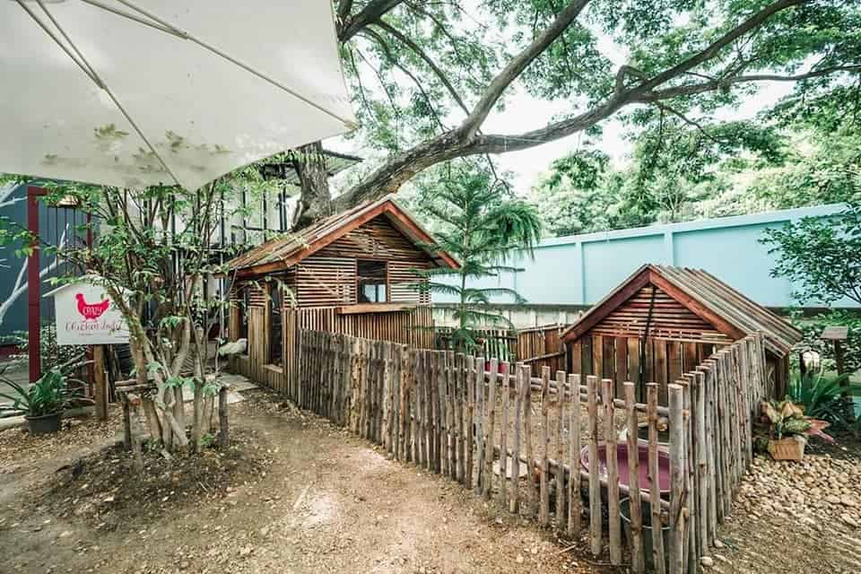 Little red riding hood eatery and garden (กรุงเทพฯ) 6