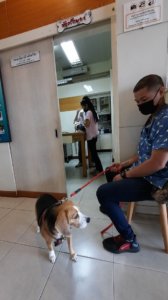 โรงพยาบาลสัตว์พัทยาเหนือ North Pattaya Animal Hospital 4