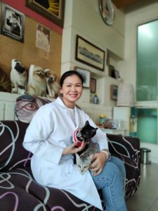 โรงพยาบาลสัตว์พัทยาเหนือ North Pattaya Animal Hospital 5