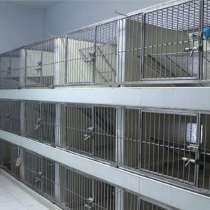 โรงพยาบาลสัตว์หมอสุรศักดิ์และเพื่อน (สำนักงานใหญ่) DSF Pet Hospital 1