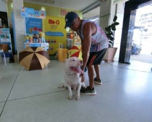 โรงพยาบาลสัตว์หมอสุรศักดิ์และเพื่อน (สำนักงานใหญ่) DSF Pet Hospital 4