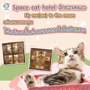 Space Cat Hotel โรงแรมจักรวาลแมว 1