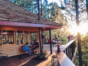 Cedar ป่าสน Cafe (เขาค้อ) 3