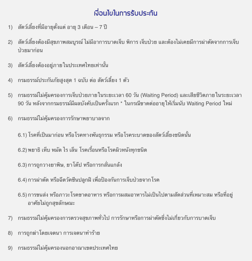 ประกันหมาแมว ประกันสัตว์เลี้ยง 2021 เปรียบเทียบทำที่ไหนดี เริ่ม ฿500 ต่อปี 10 ประกันหมาแมว ประกันสัตว์เลี้ยง 2021 เปรียบเทียบทำที่ไหนดี เริ่ม ฿500 ต่อปี 6