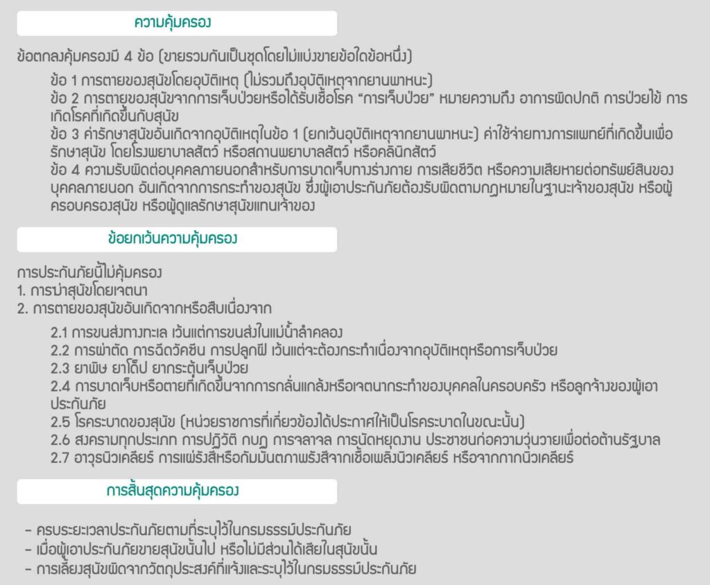 ประกันหมาแมว ประกันสัตว์เลี้ยง 2021 เปรียบเทียบทำที่ไหนดี เริ่ม ฿500 ต่อปี 23 ประกันหมาแมว ประกันสัตว์เลี้ยง 2021 เปรียบเทียบทำที่ไหนดี เริ่ม ฿500 ต่อปี 19