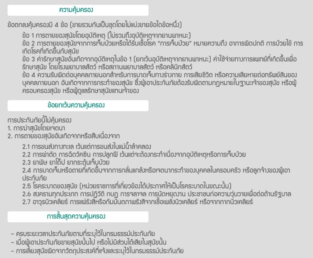 ประกันหมาแมว ประกันสัตว์เลี้ยง 2021 เปรียบเทียบทำที่ไหนดี เริ่ม ฿500 ต่อปี 19