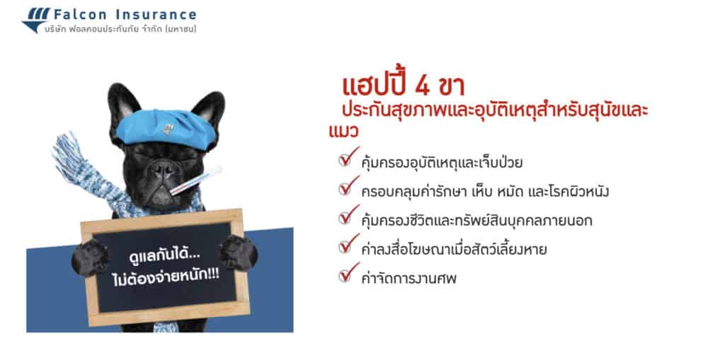 ประกันหมาแมว ประกันสัตว์เลี้ยง 2021 เปรียบเทียบทำที่ไหนดี เริ่ม ฿500 ต่อปี 11