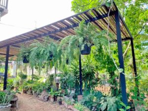 บ้านไร่แทนไทฟาร์มสเตย์ (Tantai Farm Stay) 1