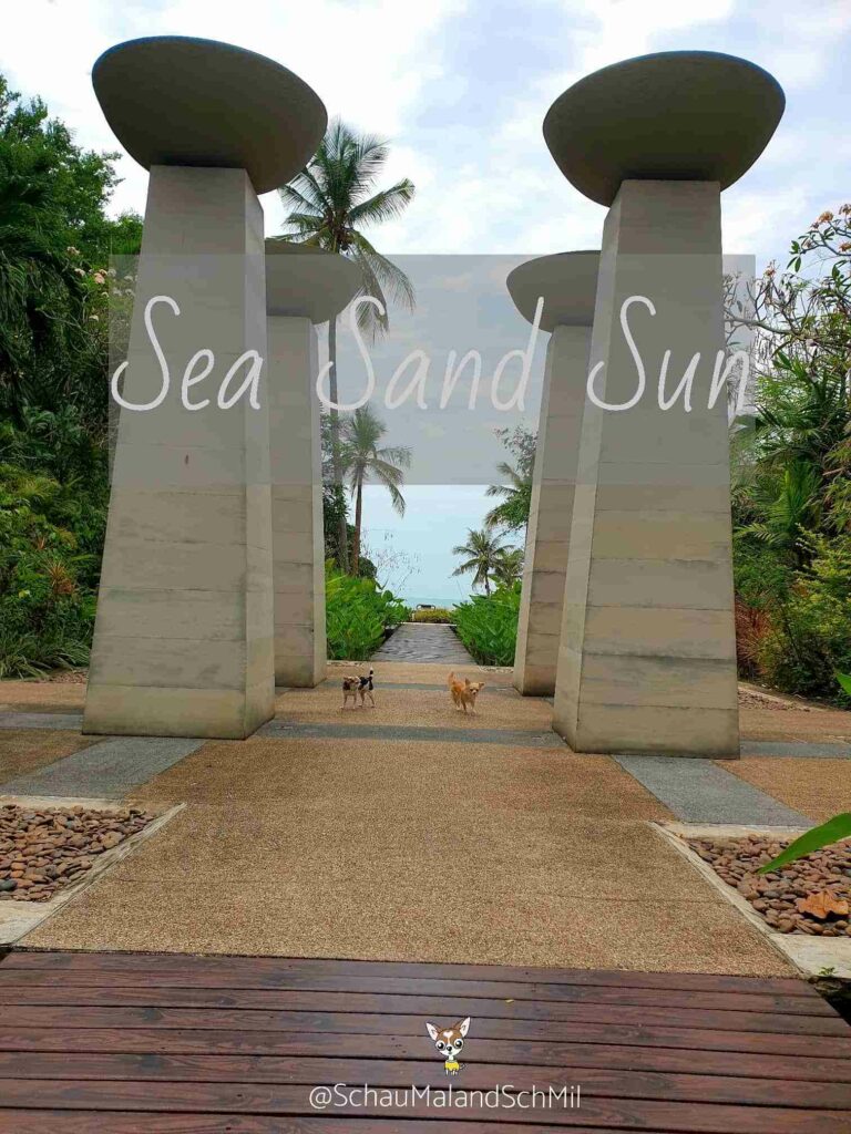 Sea Sand Sun รีสอร์ทติดทะเลสัตหีบ สุนัขพักได้ ห้องกว้าง พื้นที่สีเขียวเยอะ อาหารอร่อย 1