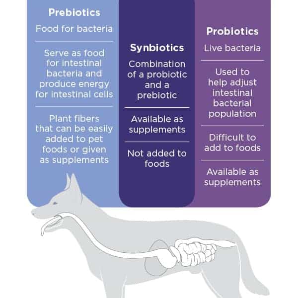 หมาท้องเสีย ไม่ต้องใช้ probiotic สุนัขเสมอไปนะ ถ่ายเหลวบ่อยเพราะอะไร ทำไงดี? 1