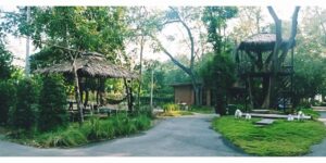 ต้นโพธิ์ รีสอร์ท (Tonpho Resort Banpong) 4