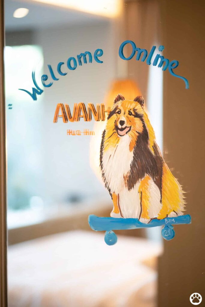 Avani+ Hua Hin สุนัขพักได้ กับ 16 ข้อดี Pet Friendly ดีที่สุดแห่งหนึ่งในไทย (รีสอร์ท 5 ดาว) 74