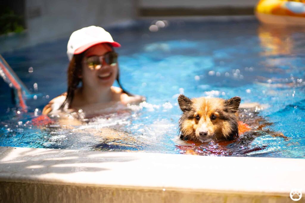 Avani+ Hua Hin สุนัขพักได้ กับ 16 ข้อดี Pet Friendly ดีที่สุดแห่งหนึ่งในไทย (รีสอร์ท 5 ดาว) 20