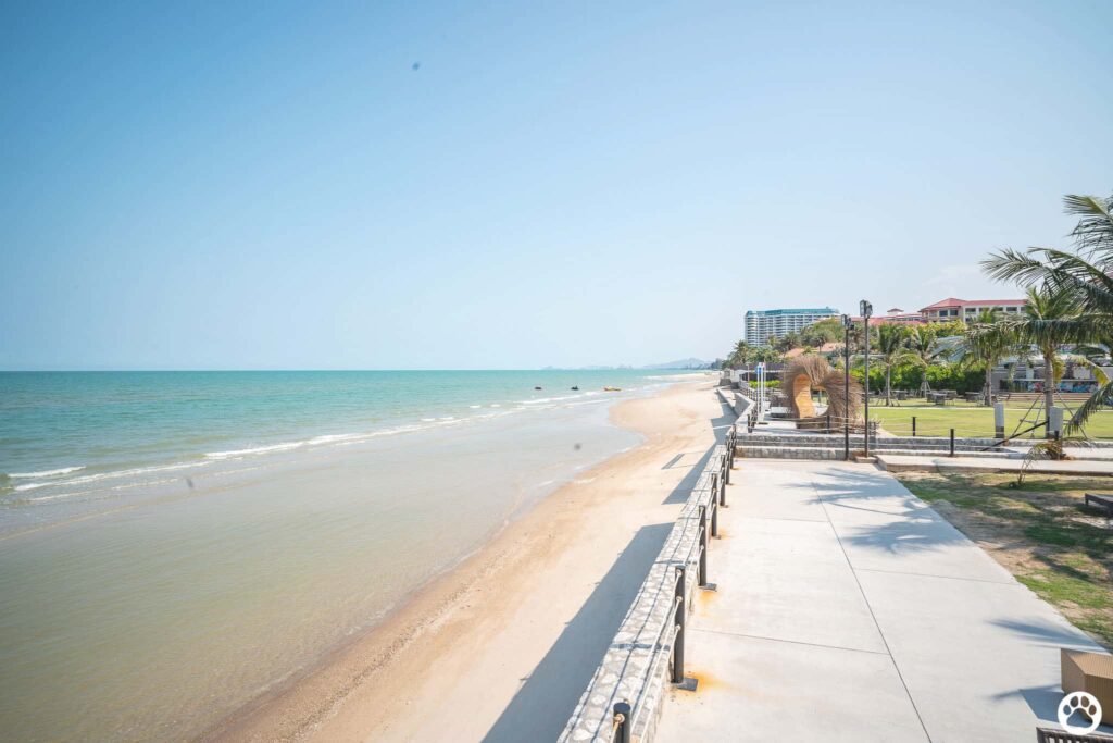 Avani+ Hua Hin สุนัขพักได้ กับ 16 ข้อดี Pet Friendly ดีที่สุดแห่งหนึ่งในไทย (รีสอร์ท 5 ดาว) 51 Avani+ Hua Hin สุนัขพักได้ กับ 16 ข้อดี Pet Friendly ดีที่สุดแห่งหนึ่งในไทย (รีสอร์ท 5 ดาว) 51