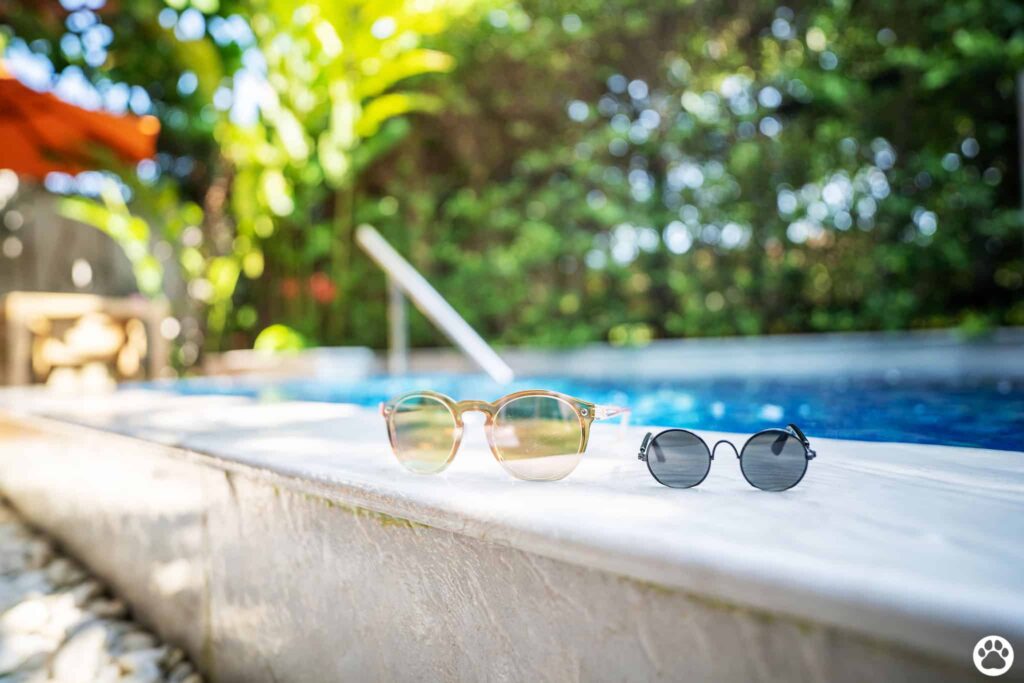 Avani+ Hua Hin สุนัขพักได้ กับ 16 ข้อดี Pet Friendly ดีที่สุดแห่งหนึ่งในไทย (รีสอร์ท 5 ดาว) 88 Avani+ Hua Hin สุนัขพักได้ กับ 16 ข้อดี Pet Friendly ดีที่สุดแห่งหนึ่งในไทย (รีสอร์ท 5 ดาว) 87