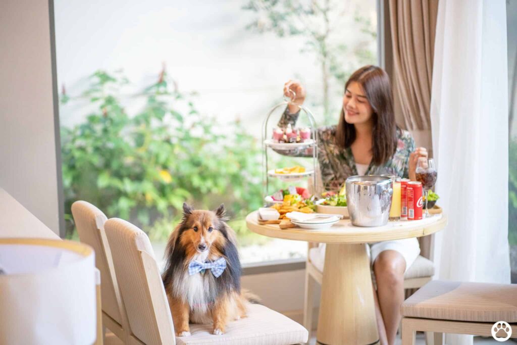 Avani+ Hua Hin สุนัขพักได้ กับ 16 ข้อดี Pet Friendly ดีที่สุดแห่งหนึ่งในไทย (รีสอร์ท 5 ดาว) 55