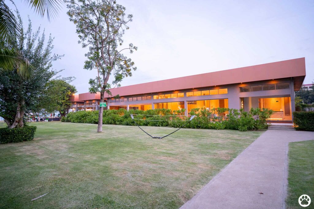 Avani+ Hua Hin สุนัขพักได้ กับ 16 ข้อดี Pet Friendly ดีที่สุดแห่งหนึ่งในไทย (รีสอร์ท 5 ดาว) 42 Avani+ Hua Hin สุนัขพักได้ กับ 16 ข้อดี Pet Friendly ดีที่สุดแห่งหนึ่งในไทย (รีสอร์ท 5 ดาว) 42