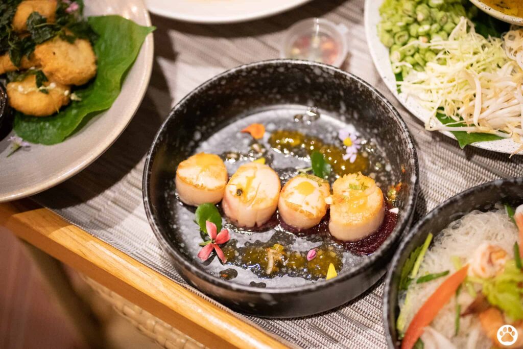 Avani+ Hua Hin สุนัขพักได้ กับ 16 ข้อดี Pet Friendly ดีที่สุดแห่งหนึ่งในไทย (รีสอร์ท 5 ดาว) 69 Avani+ Hua Hin สุนัขพักได้ กับ 16 ข้อดี Pet Friendly ดีที่สุดแห่งหนึ่งในไทย (รีสอร์ท 5 ดาว) 69
