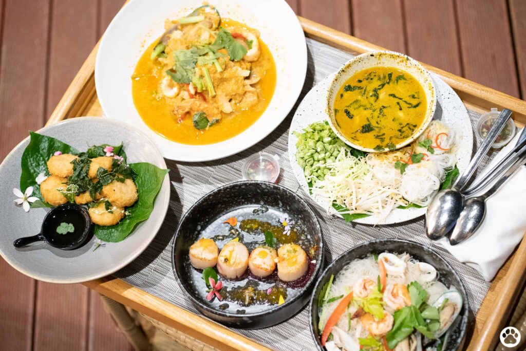 Avani+ Hua Hin สุนัขพักได้ กับ 16 ข้อดี Pet Friendly ดีที่สุดแห่งหนึ่งในไทย (รีสอร์ท 5 ดาว) 71 Avani+ Hua Hin สุนัขพักได้ กับ 16 ข้อดี Pet Friendly ดีที่สุดแห่งหนึ่งในไทย (รีสอร์ท 5 ดาว) 71