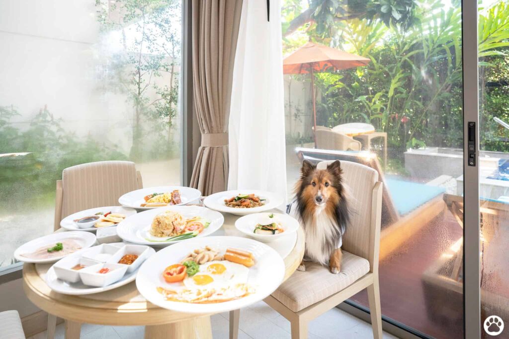 Avani+ Hua Hin สุนัขพักได้ กับ 16 ข้อดี Pet Friendly ดีที่สุดแห่งหนึ่งในไทย (รีสอร์ท 5 ดาว) 61 Avani+ Hua Hin สุนัขพักได้ กับ 16 ข้อดี Pet Friendly ดีที่สุดแห่งหนึ่งในไทย (รีสอร์ท 5 ดาว) 61