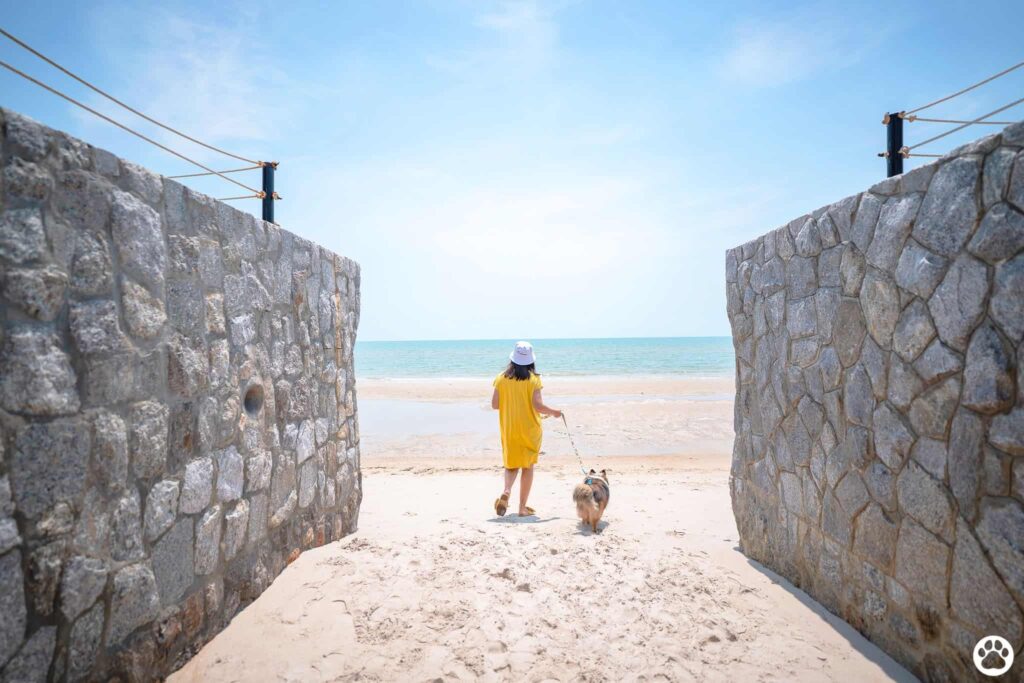 Avani+ Hua Hin สุนัขพักได้ กับ 16 ข้อดี Pet Friendly ดีที่สุดแห่งหนึ่งในไทย (รีสอร์ท 5 ดาว) 49