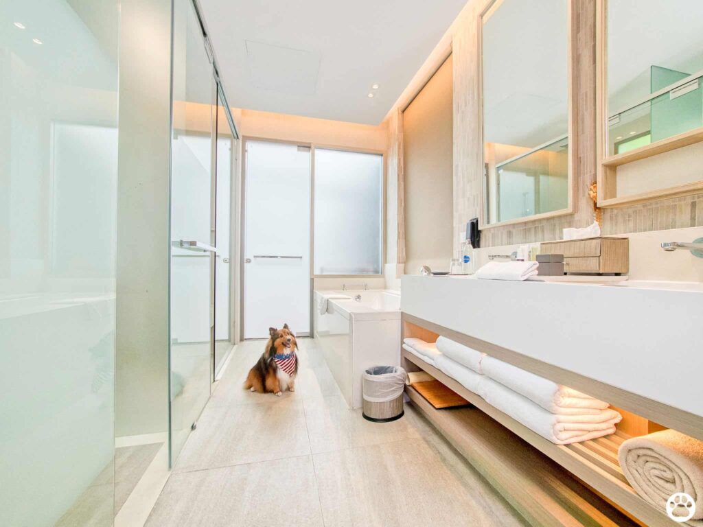 Avani+ Hua Hin สุนัขพักได้ กับ 16 ข้อดี Pet Friendly ดีที่สุดแห่งหนึ่งในไทย (รีสอร์ท 5 ดาว) 10 Avani+ Hua Hin สุนัขพักได้ กับ 16 ข้อดี Pet Friendly ดีที่สุดแห่งหนึ่งในไทย (รีสอร์ท 5 ดาว) 10