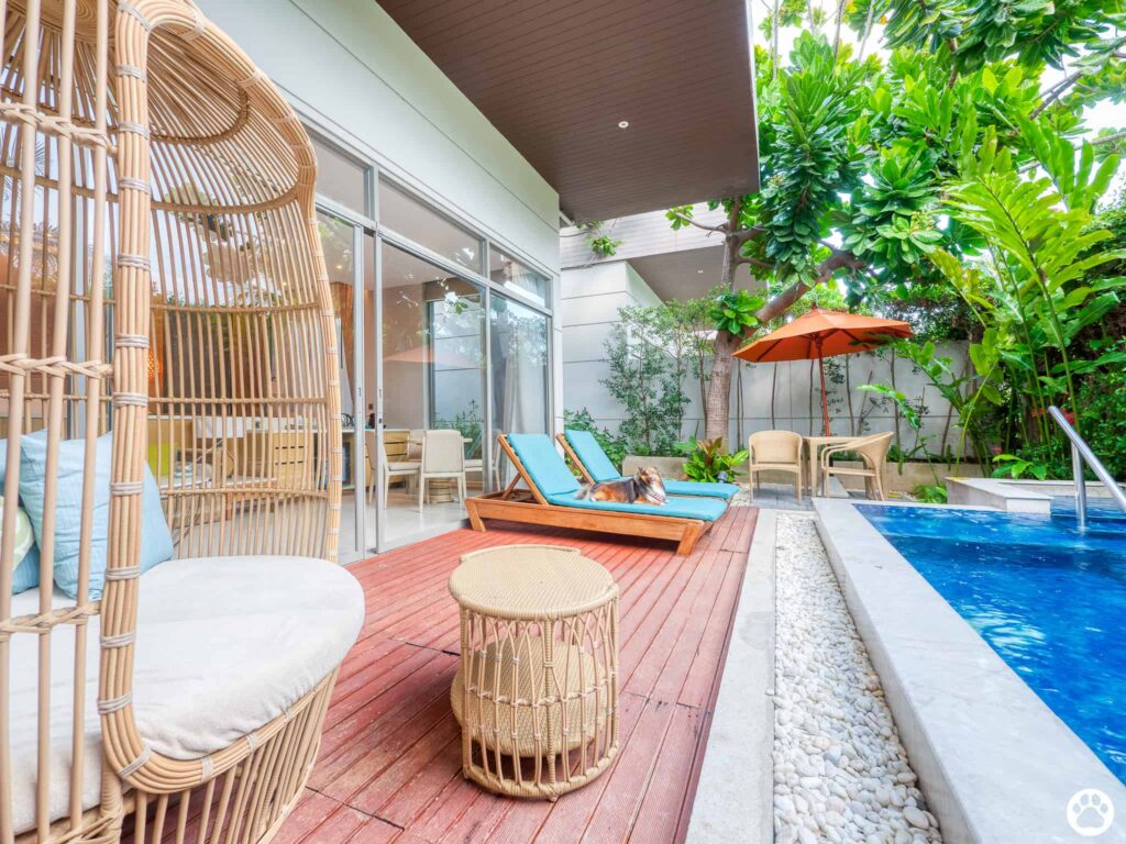 Avani+ Hua Hin สุนัขพักได้ กับ 16 ข้อดี Pet Friendly ดีที่สุดแห่งหนึ่งในไทย (รีสอร์ท 5 ดาว) 11