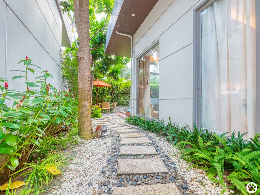 Avani+ Hua Hin สุนัขพักได้ กับ 16 ข้อดี Pet Friendly ดีที่สุดแห่งหนึ่งในไทย (รีสอร์ท 5 ดาว) 29 Avani+ Hua Hin สุนัขพักได้ กับ 16 ข้อดี Pet Friendly ดีที่สุดแห่งหนึ่งในไทย (รีสอร์ท 5 ดาว) 29