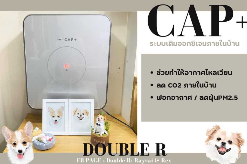 ระบบเติมออกซิเจน เติมอากาศให้บ้าน CAP+ Thailand