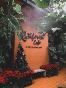 Rainforest Café (กาญจนบุรี) 6