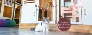 Catwalk Hotel 10
