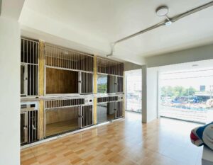 โรงพยาบาลสัตว์เพื่อนแต้ม 12