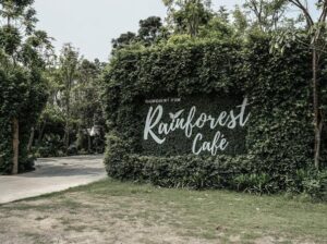 Rainforest Café (กาญจนบุรี) 7