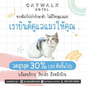 Catwalk Hotel 11