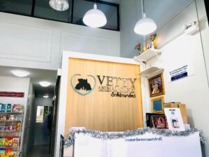 Vetty animal clinic (ปทุมธานี) 3