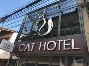 วิมานแมว Cat Hotel 7