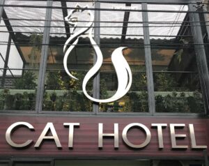 วิมานแมว Cat Hotel 6