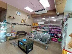 โรงพยาบาลสัตว์เมืองทอง Muangthong Pet Hospital 1