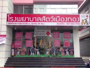 โรงพยาบาลสัตว์เมืองทอง Muangthong Pet Hospital 2