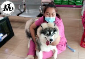 โรงพยาบาลสัตว์เมืองทอง Muangthong Pet Hospital 10