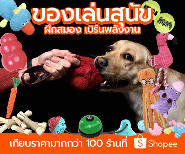 Super Premium Dog Food on Shopee