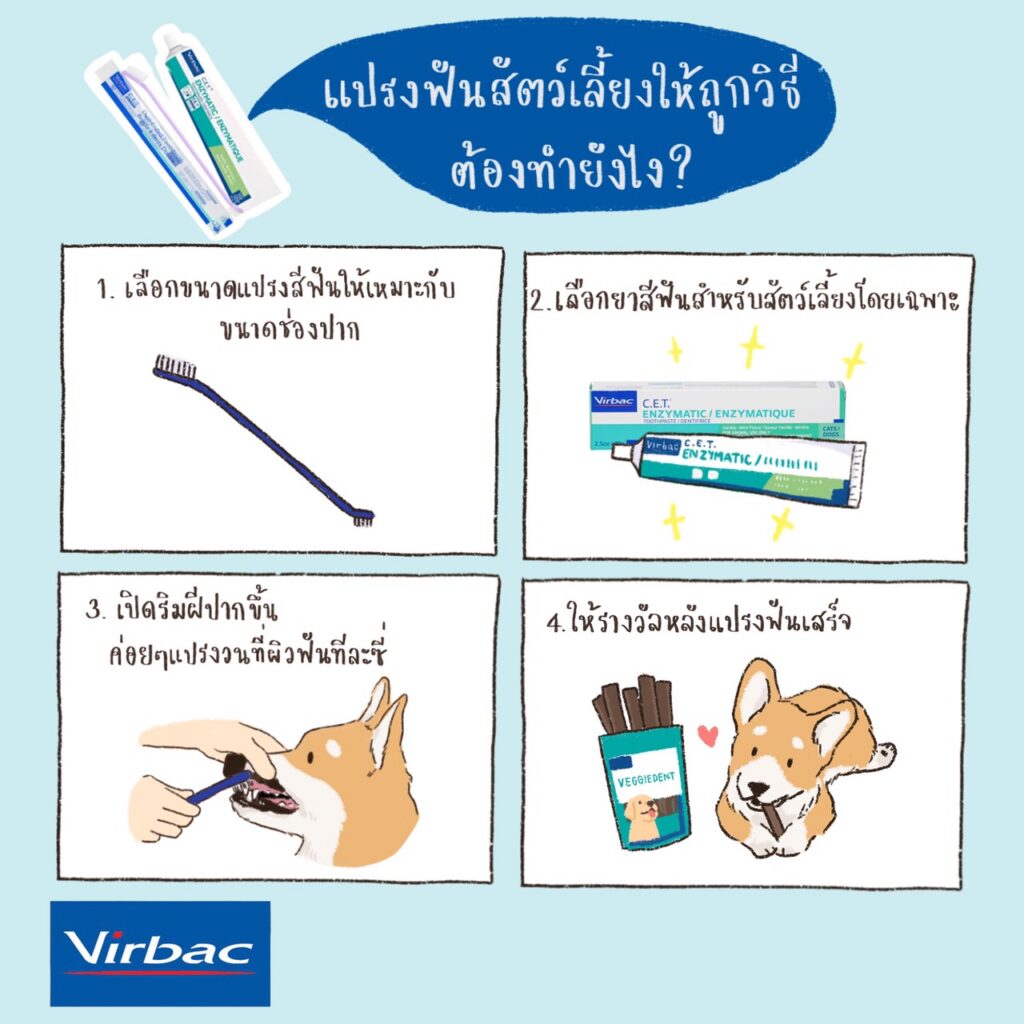 10 ของใช้และอุปกรณ์สุนัข ที่อัพเกรดของดีแล้วมีผลเยอะกับชีวิต ซื้อทีคุ้มไปเป็นสิบปี 6