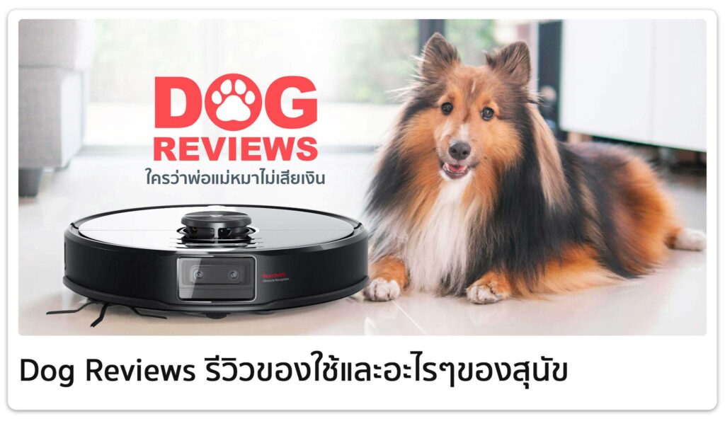 Dog Reviews Group