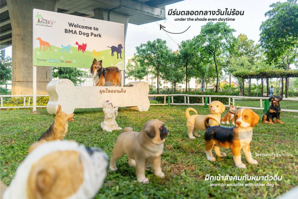 10 ข้อดีของ BMA DOG PARK สวนวัชราภิรมย์ สวนหมาเข้าฟรี ดีเรายกให้ดีที่สุดของกทม. ปี 2022 5 10 ข้อดีของ BMA DOG PARK สวนวัชราภิรมย์ สวนหมาเข้าฟรี ดีเรายกให้ดีที่สุดของกทม. ปี 2022 5