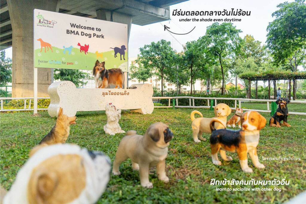 10 ข้อดีของ BMA DOG PARK สวนวัชราภิรมย์ สวนหมาเข้าฟรี ดีเรายกให้ดีที่สุดของกทม. ปี 2022 5