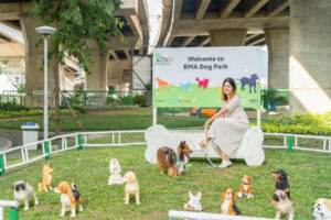 BMA Dog Park สวนวัชราภิรมย์ 7