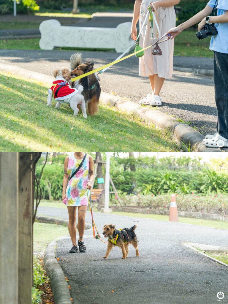 10 ข้อดีของ BMA DOG PARK สวนวัชราภิรมย์ สวนหมาเข้าฟรี ดีเรายกให้ดีที่สุดของกทม. ปี 2022 30